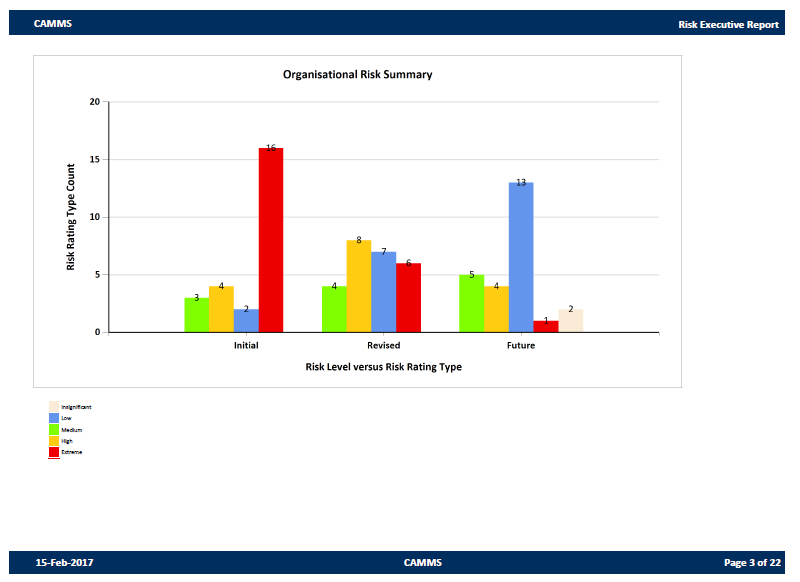 Risk Executive Report_3